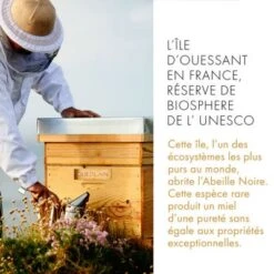 Guerlain Abeille Royale Crème De Nuit -Guerlain Soldes Boutique abeill royale nuit 4