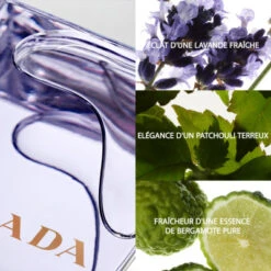 Prada Amber Pour Homme Eau De Toilette 9 Prada Amber Pour Homme Eau De Toilette -Guerlain Soldes Boutique amber pour homme eau de toilette 3