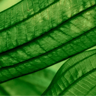 Biotherm Aquasource Sérum Concentré Hydratation Profonde Et Lumière 4 Biotherm Aquasource Sérum Concentré Hydratation Profonde Et Lumière – Image 2