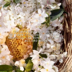 Guerlain Aqua Allegoria Harvest Nerolia Vetiver Eau De Toilette -Guerlain Soldes Boutique aqua allegoria harvest nerolia vetiver 2