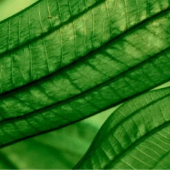 Biotherm Aquasource Aura Concentrate Sérum Régénérant Hydratation Et éclat -Guerlain Soldes Boutique aquasource aura concentrate serum regenerant hydratation et eclat 7