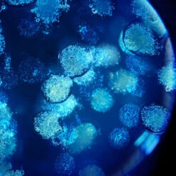 Biotherm Biovergetures Gel-Crème Corps Prévention Vergetures 17 Biotherm Biovergetures Gel-Crème Corps Prévention Vergetures -Guerlain Soldes Boutique biovergetures gel creme corps prevention vergetures 7