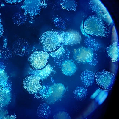 Biotherm Biovergetures Gel-Crème Corps Prévention Vergetures 10 Biotherm Biovergetures Gel-Crème Corps Prévention Vergetures – Image 8