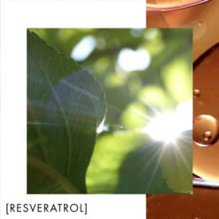 Biotherm Blue Therapy Crème De Nuit Nutrition Et Éclat -Guerlain Soldes Boutique blue therapy creme de nuit nutrition et eclat 2