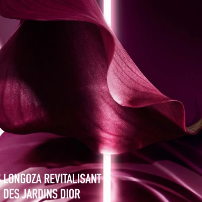 DIOR Capture Totale Soin Regard Fermeté Et Correction Rides 6 DIOR Capture Totale Soin Regard Fermeté Et Correction Rides – Image 4