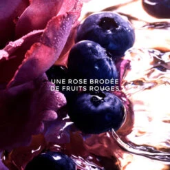 Guerlain Coffret La Petite Robe Noire Coffret Pour Femme 11 Guerlain Coffret La Petite Robe Noire Coffret Pour Femme -Guerlain Soldes Boutique coffret la petite robe noire eau de parfum intense 3