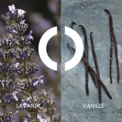 Coffret Pour Un Homme De CARON Coffret Pour Homme 10 Coffret Pour Un Homme De CARON Coffret Pour Homme -Guerlain Soldes Boutique coffret pour un homme de caron 2