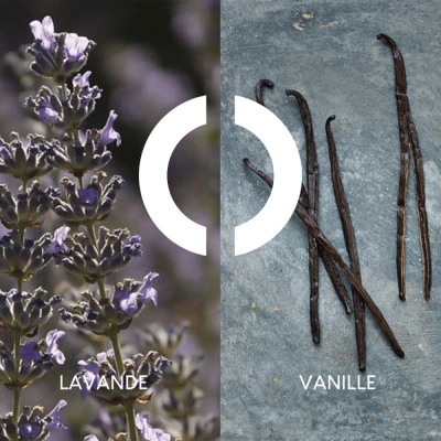 Coffret Pour Un Homme De CARON Coffret Pour Homme 5 Coffret Pour Un Homme De CARON Coffret Pour Homme – Image 3