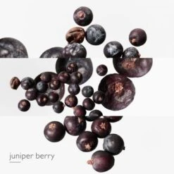 Hermès Eau Des Merveilles Bleue Eau De Toilette -Guerlain Soldes Boutique eau merv bleue edt 3