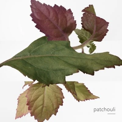 Hermès Elixir Des Merveilles Eau De Parfum 8 Hermès Elixir Des Merveilles Eau De Parfum – Image 6