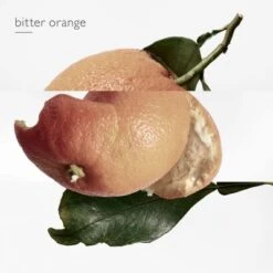 Hermès Eau Des Merveilles Eau De Toilette -Guerlain Soldes Boutique eau merveille edt 6