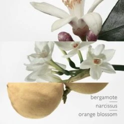 Hermès Eau De Narcisse Bleu Eau De Cologne -Guerlain Soldes Boutique eau narcisse bleu 2