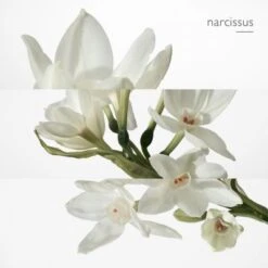 Hermès Eau De Narcisse Bleu Eau De Cologne -Guerlain Soldes Boutique eau narcisse bleu 3