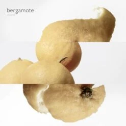 Hermès Eau De Narcisse Bleu Eau De Cologne -Guerlain Soldes Boutique eau narcisse bleu 5