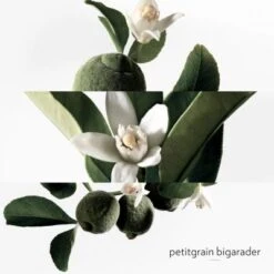 Hermès Eau De Néroli Doré Eau De Cologne -Guerlain Soldes Boutique eau neroli dore 5