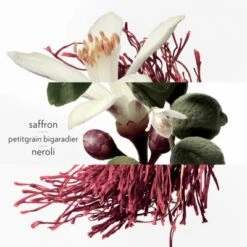 Hermès Eau De Néroli Doré Eau De Cologne -Guerlain Soldes Boutique eau neroli dore 6