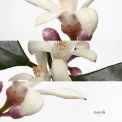 Hermès Eau De Néroli Doré Eau De Cologne -Guerlain Soldes Boutique eau neroli dore 7