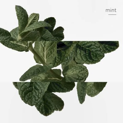 Hermès Eau D'orange Verte Eau De Cologne 9 Hermès Eau D'orange Verte Eau De Cologne – Image 7