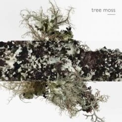 Hermès Eau D'orange Verte Eau De Cologne 17 Hermès Eau D'orange Verte Eau De Cologne -Guerlain Soldes Boutique eau orange verte 7