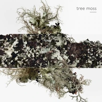 Hermès Eau D'orange Verte Eau De Cologne 10 Hermès Eau D'orange Verte Eau De Cologne – Image 8