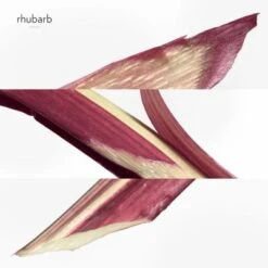 Hermès Eau De Rhubarbe écarlate Eau De Cologne -Guerlain Soldes Boutique eau rhubarb ecarl 1 3