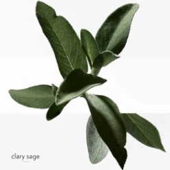 Hermès H24 Déodorant -Guerlain Soldes Boutique h24 deo fraicheur 4