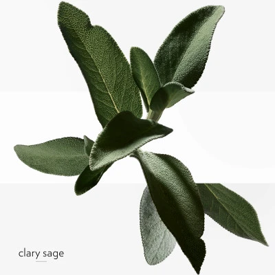 Hermès H24 Soin Visage Energisant Hydratant 8 Hermès H24 Soin Visage Energisant Hydratant – Image 6