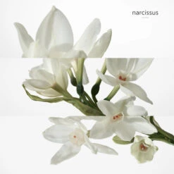 Hermès H24 Soin Visage Energisant Hydratant 16 Hermès H24 Soin Visage Energisant Hydratant -Guerlain Soldes Boutique h24 soin hydratant 6