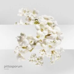 Hermès Un Jardin Sur La Lagune Eau De Toilette -Guerlain Soldes Boutique jardin lagune edt 5