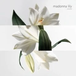 Hermès Un Jardin Sur La Lagune Eau De Toilette -Guerlain Soldes Boutique jardin lagune edt 6