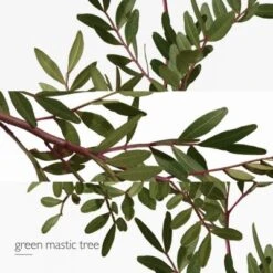 Hermès Un Jardin En Méditerranée Eau De Toilette -Guerlain Soldes Boutique jardin medit edt 4