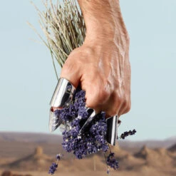 Dolce & Gabbana K By Dolce&Gabbana Eau De Toilette 14 Dolce & Gabbana K By Dolce&Gabbana Eau De Toilette -Guerlain Soldes Boutique k by dolcegabbana 4