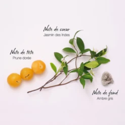 Mauboussin Eau De Parfum -Guerlain Soldes Boutique mauboussin eau de parfum 3