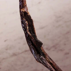 Paco Rabanne Olympéa Lait Pour Le Corps -Guerlain Soldes Boutique olympea bdy lotion 2