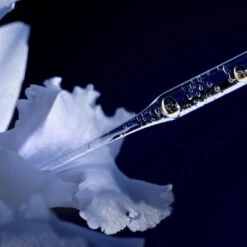 Guerlain Orchidée Impériale La Lotion Essence 13 Guerlain Orchidée Impériale La Lotion Essence -Guerlain Soldes Boutique orchid imp lotion 3