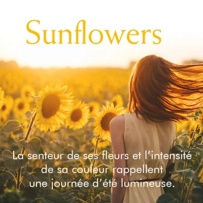 Elizabeth Arden Sunflowers Eau De Toilette 7 Elizabeth Arden Sunflowers Eau De Toilette – Image 5