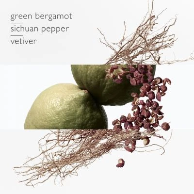 Terre D'Hermès Eau Intense Vétiver Eau De Parfum 4 Terre D'Hermès Eau Intense Vétiver Eau De Parfum – Image 2