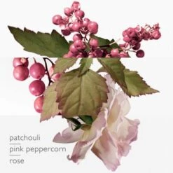 Twilly D'Hermès Eau Poivrée Eau De Parfum 13 Twilly D'Hermès Eau Poivrée Eau De Parfum -Guerlain Soldes Boutique twilly d hermes eau poivree 3