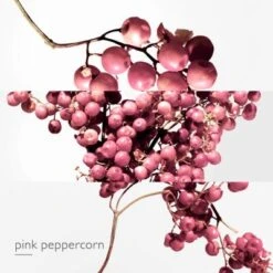 Twilly D'Hermès Eau Poivrée Eau De Parfum 14 Twilly D'Hermès Eau Poivrée Eau De Parfum -Guerlain Soldes Boutique twilly d hermes eau poivree 4