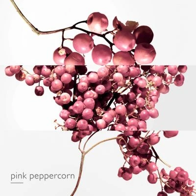 Twilly D'Hermès Eau Poivrée Eau De Parfum 7 Twilly D'Hermès Eau Poivrée Eau De Parfum – Image 5